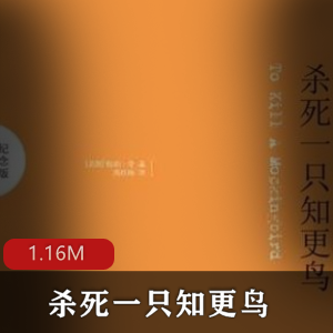 （杀死一只知更鸟）在线阅读