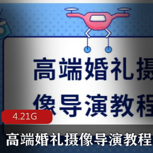（高端婚礼摄像导演）教程