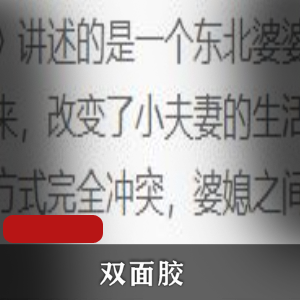 （双面胶）有声小说