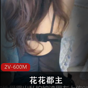 极品空姐《花花郡主》黑丝走后门资源