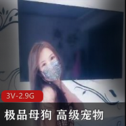 极品母狗+高级宠物+SM+跪舔饮尿+狗链教育【3V-2.9G】