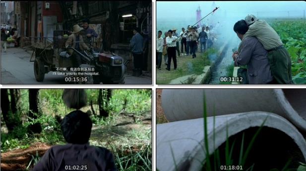 喜剧电影《落叶归根》超清经典版