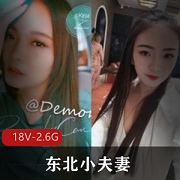 东北小夫妻实力单身小哥视频作品18个视频总大小2.6G