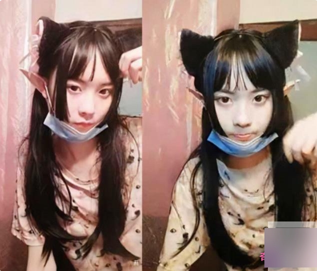 小萌妹猫奴丫推荐的精品合集