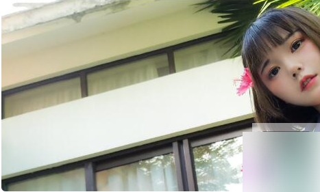 美味肉肉的视频和图集