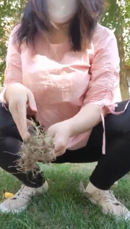 风情万种熟女柏欣彤广场舞57g合集，收藏热播！