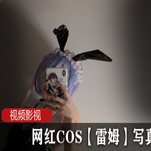 网红COS雷姆的作品作品