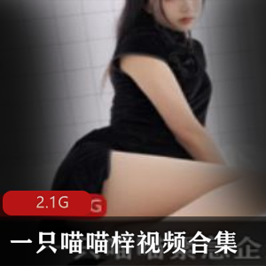 喵喵梓黑丝与和服视频资源合集21G性感女神魅力全景展现