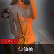 推特网红仙仙桃黑丝大长腿合集：身材软妹子腿部资源2.7G