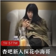 新人探花小海哥懂兵法的小妹妹最新合集1V1G，青春校园