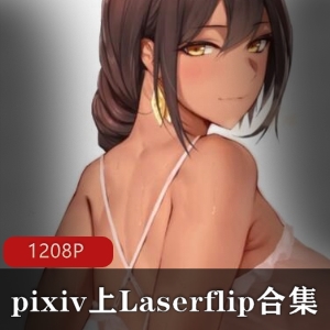 pixiv双雄Laserflip×MetalOwl优质盛宴1208P资源包国人审美