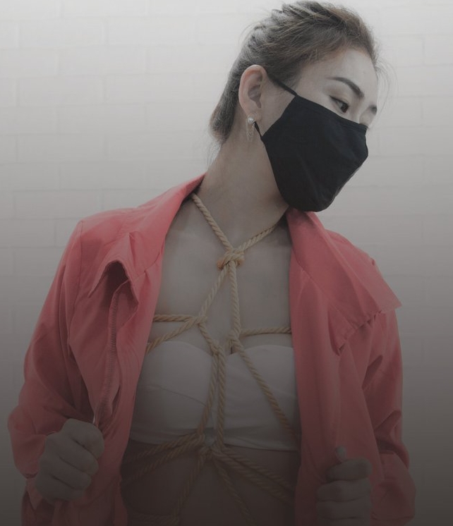 推圈DOMSSG萌宠教学122V138P1.3G珍藏版